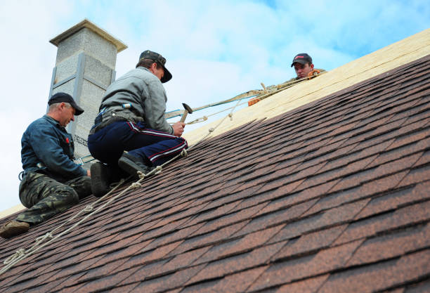 Best Shingle Roofing Installation  in Liberty, TX